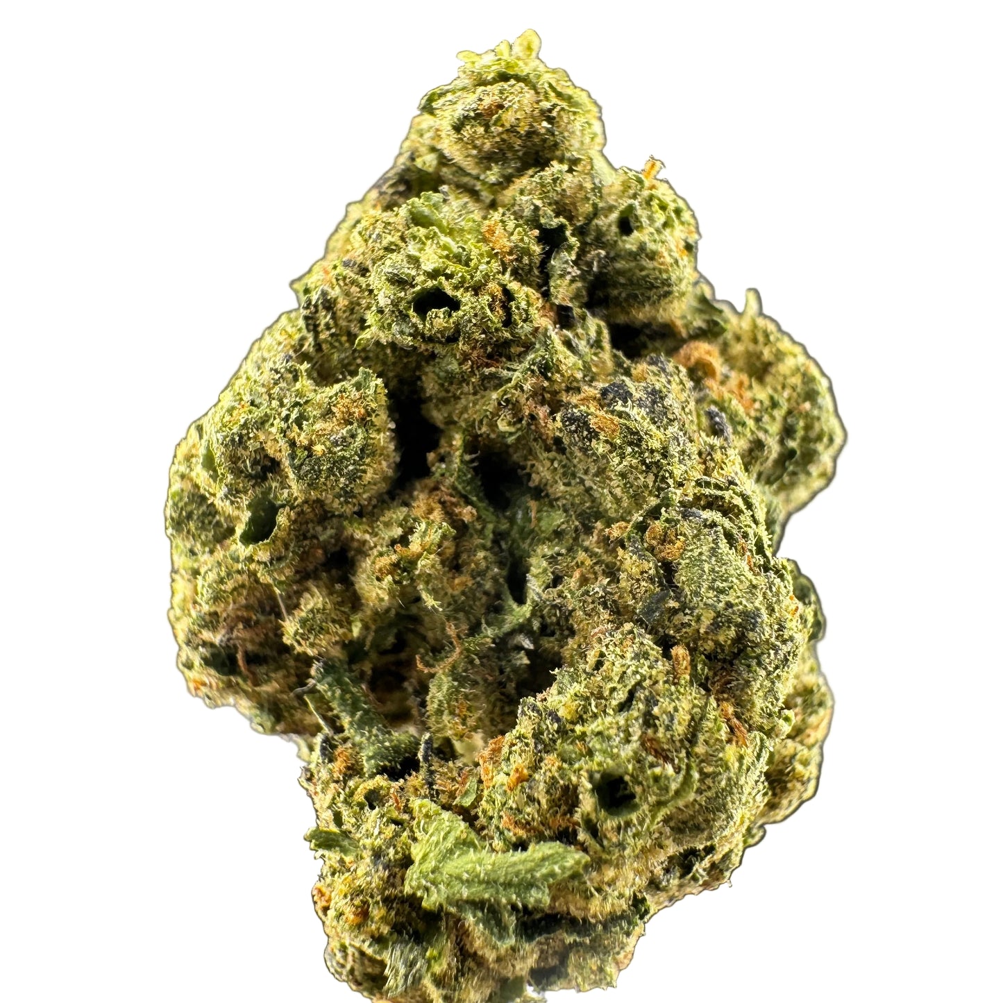Close-up of a cannabis bud on a gray background