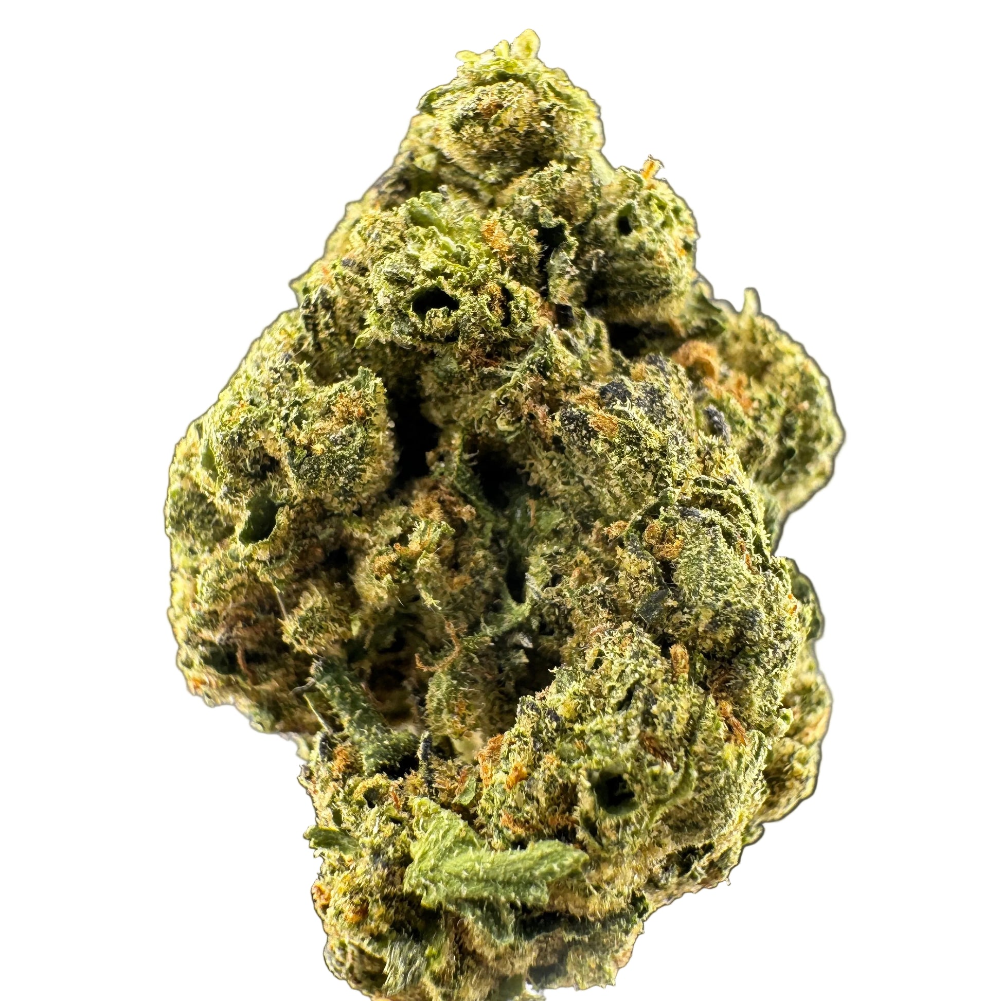 Close-up of a cannabis bud on a gray background