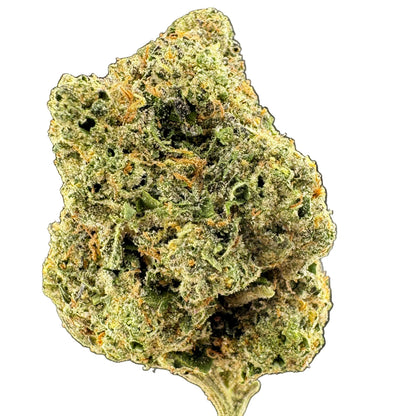 Close-up of a green cannabis bud on a dark background