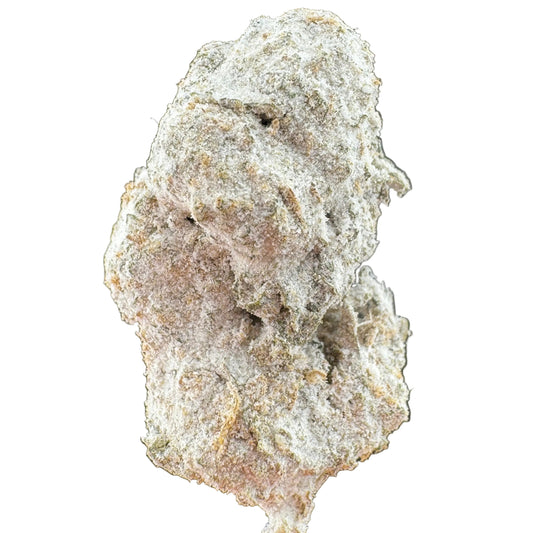 Close-up of a cannabis bud with a dark background