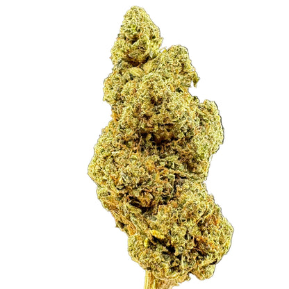 Close-up of a cannabis bud on a dark background