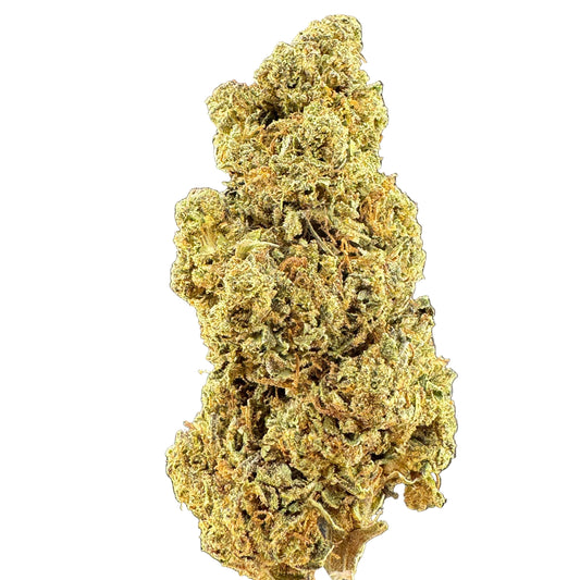 Close-up of a cannabis bud on a gray background