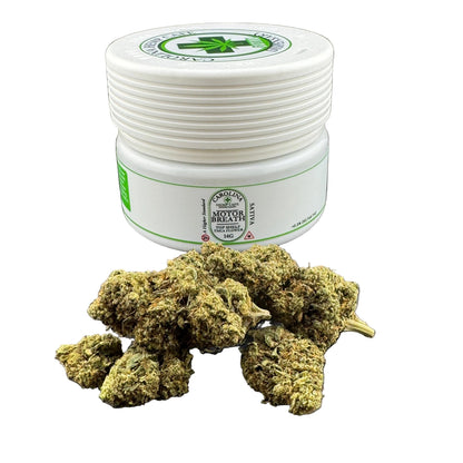 White container with cannabis buds on a gray background
