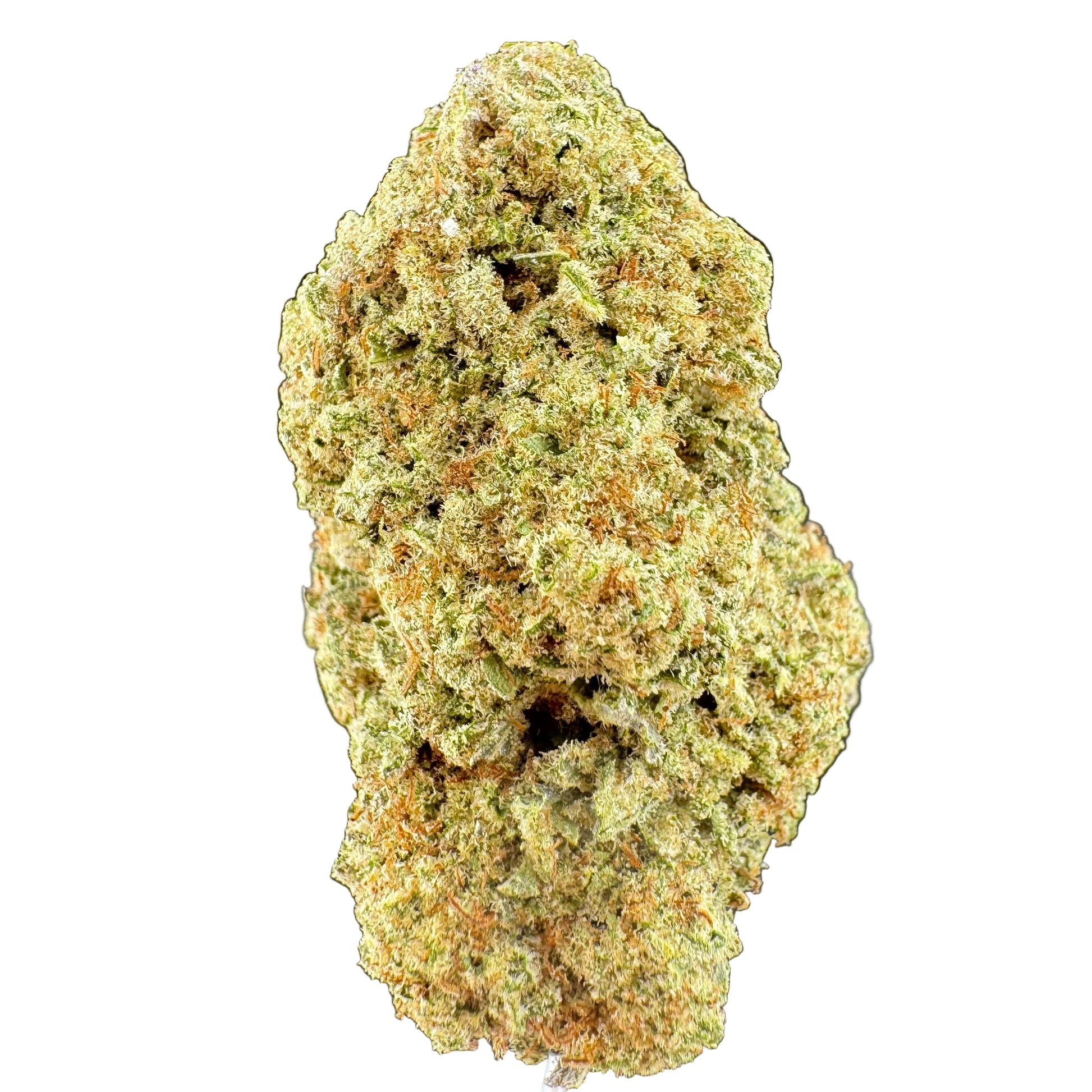 A close-up of a dried cannabis bud cluster on a small white stand, showing a textured light green to yellow-green surface with fine orange hairs, photographed against a dark gray background.