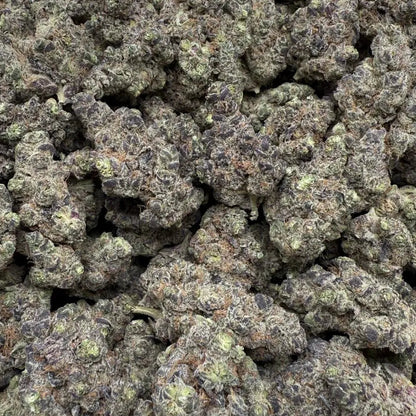 Close-up of a pile of cannabis buds on a white background