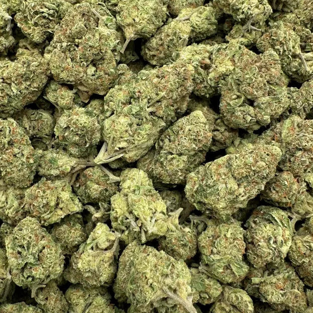 Close-up of green cannabis buds on a white background