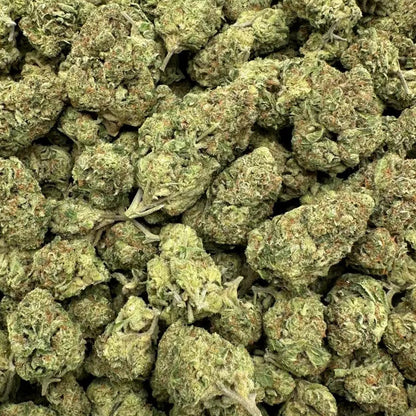 Close-up of green cannabis buds on a white background