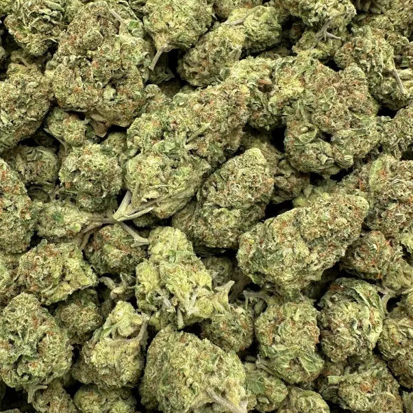 Close-up of green cannabis buds on a white background