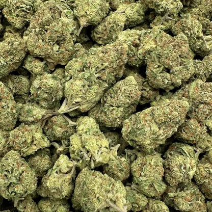 Close-up of green cannabis buds on a white background
