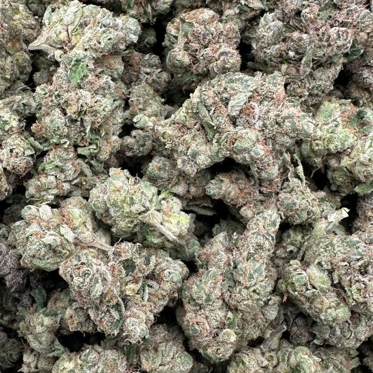 Close-up of a pile of green cannabis buds on a white background