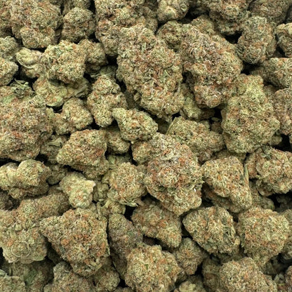 Close-up of cannabis buds in a clear plastic bag