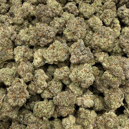 Close-up of a pile of cannabis buds on a white background