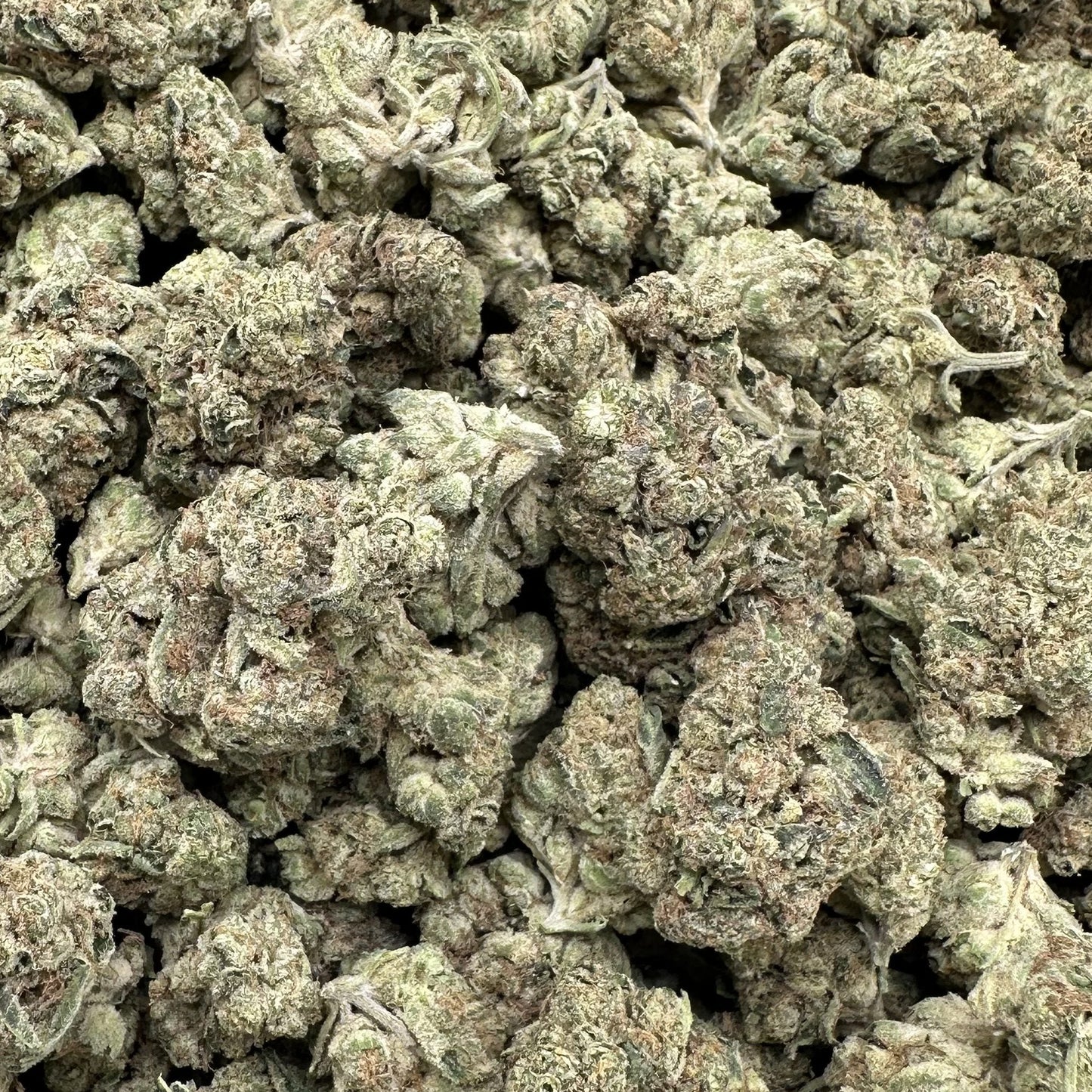 Close-up of a pile of green cannabis buds on a white background