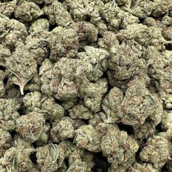 Close-up of a pile of green cannabis buds on a white background