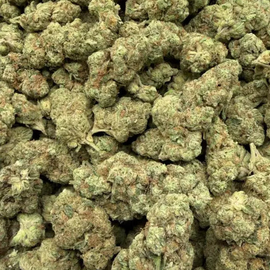 Close-up of dried cannabis buds in a clear plastic bag