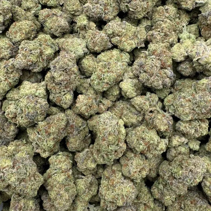 Close-up of cannabis buds in a clear plastic bag