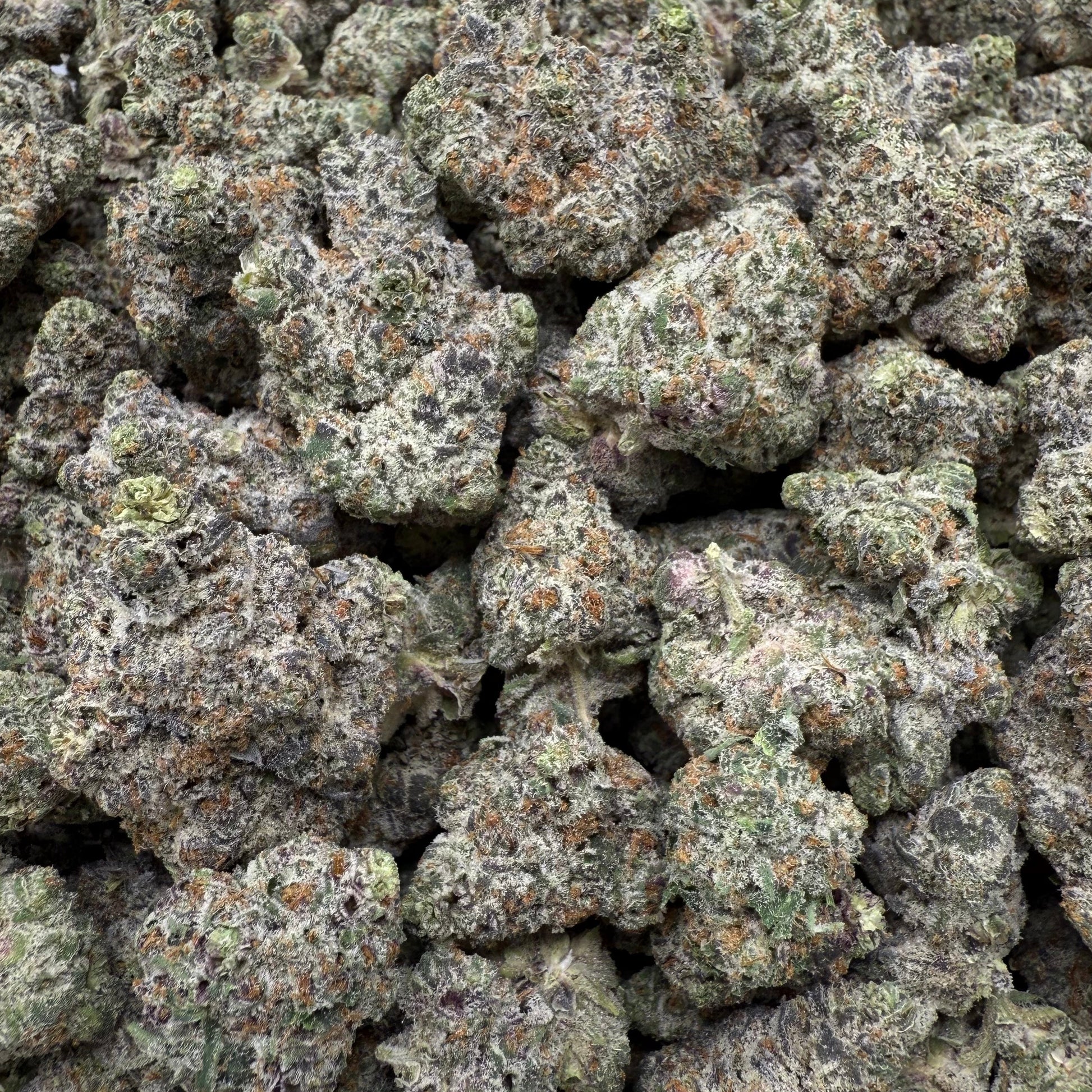 Close-up of a pile of green cannabis buds in a clear plastic bag.