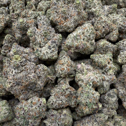 Close-up of a pile of green cannabis buds in a clear plastic bag.