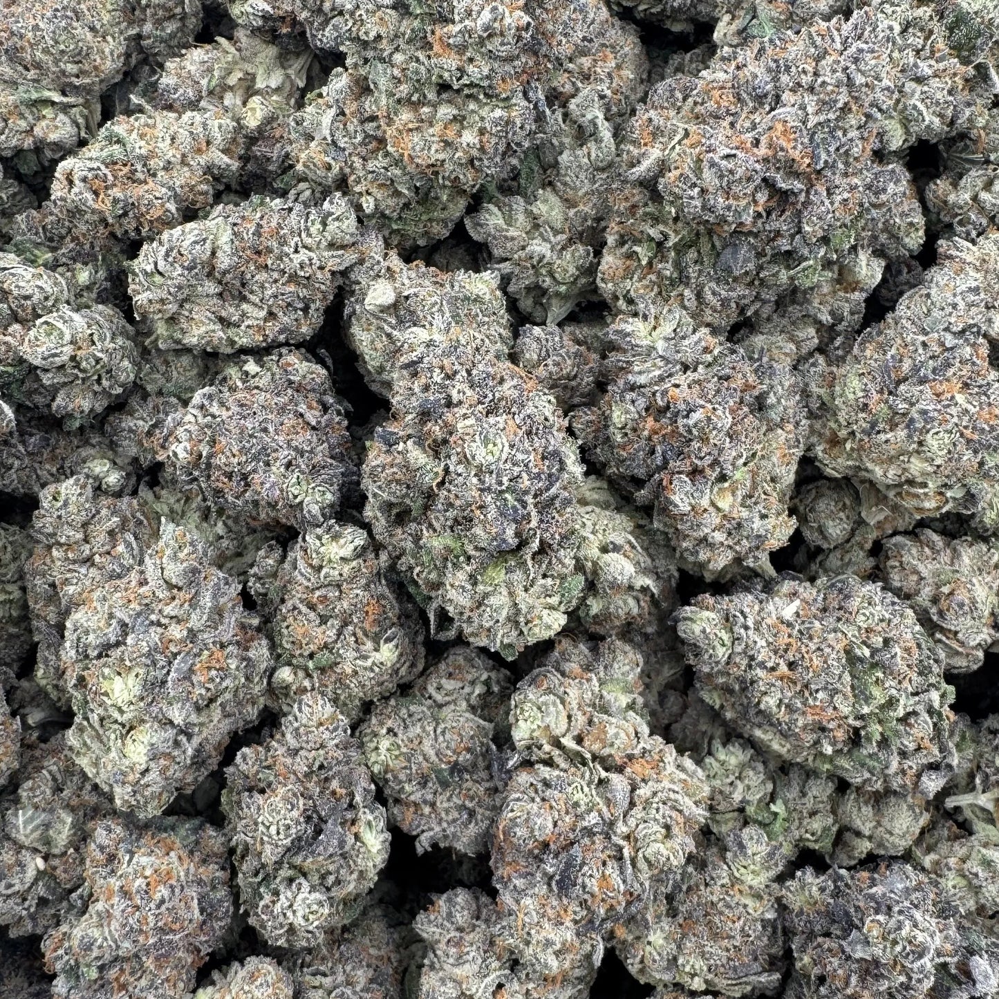 Close-up of a pile of cannabis buds with a white background