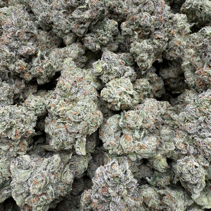 Close-up of green cannabis buds on a gray background