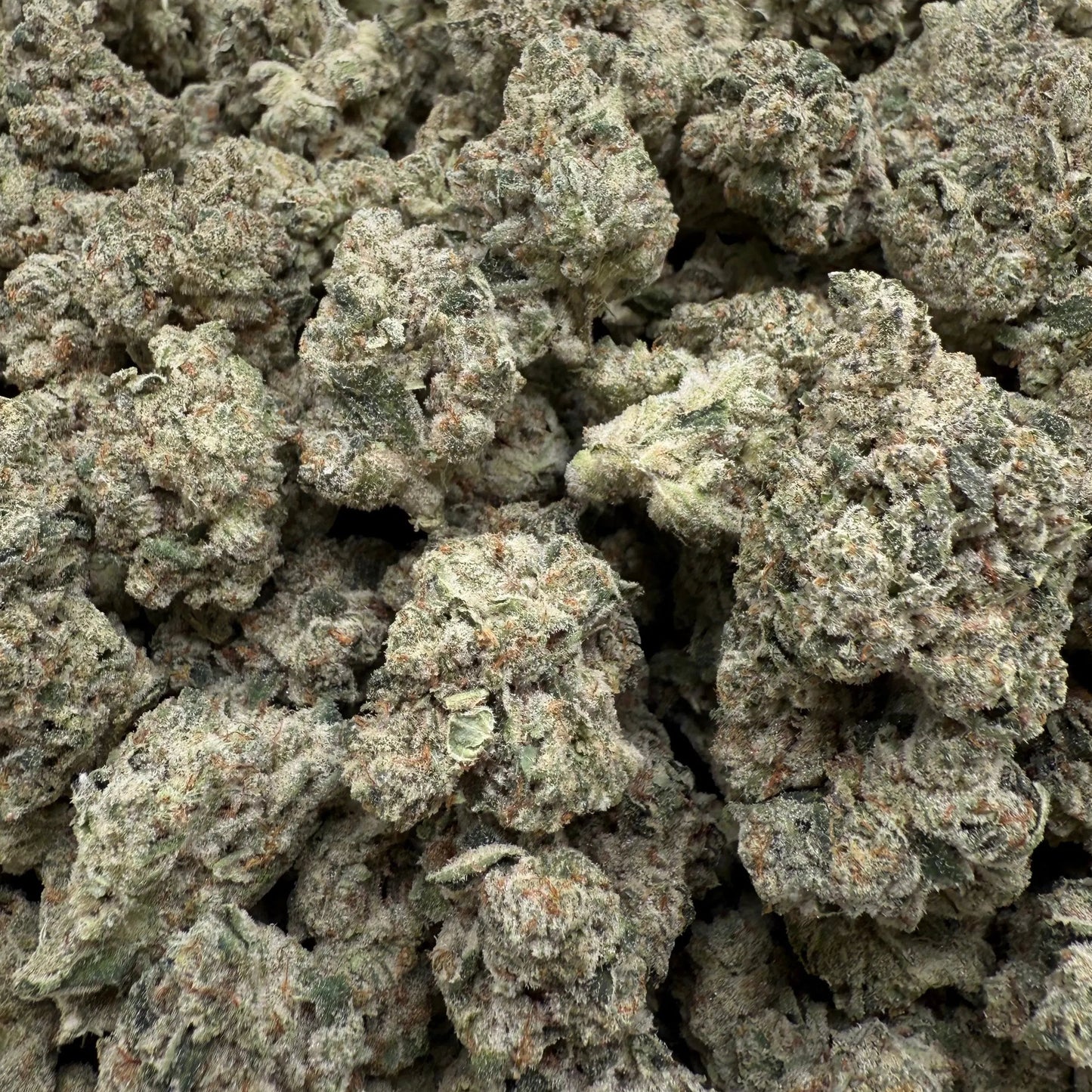 Close-up of a pile of green cannabis buds on a white background