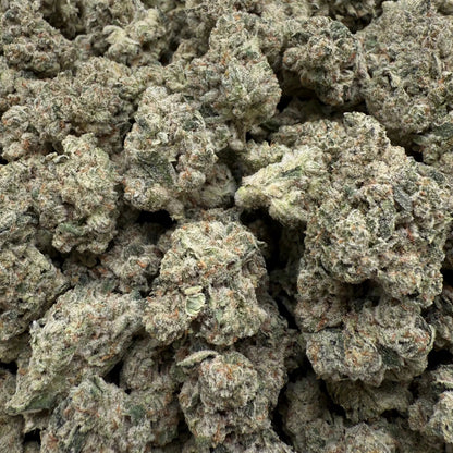 Close-up of a pile of green cannabis buds on a white background