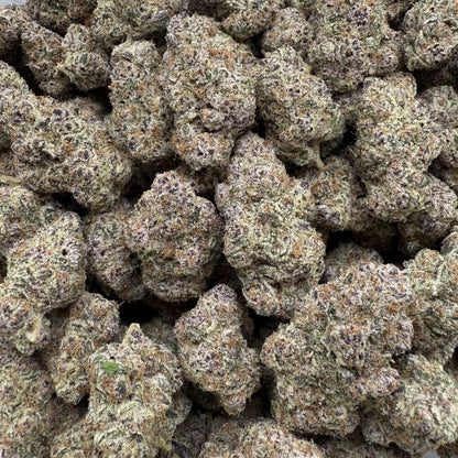 Close-up of a pile of cannabis buds on a white background