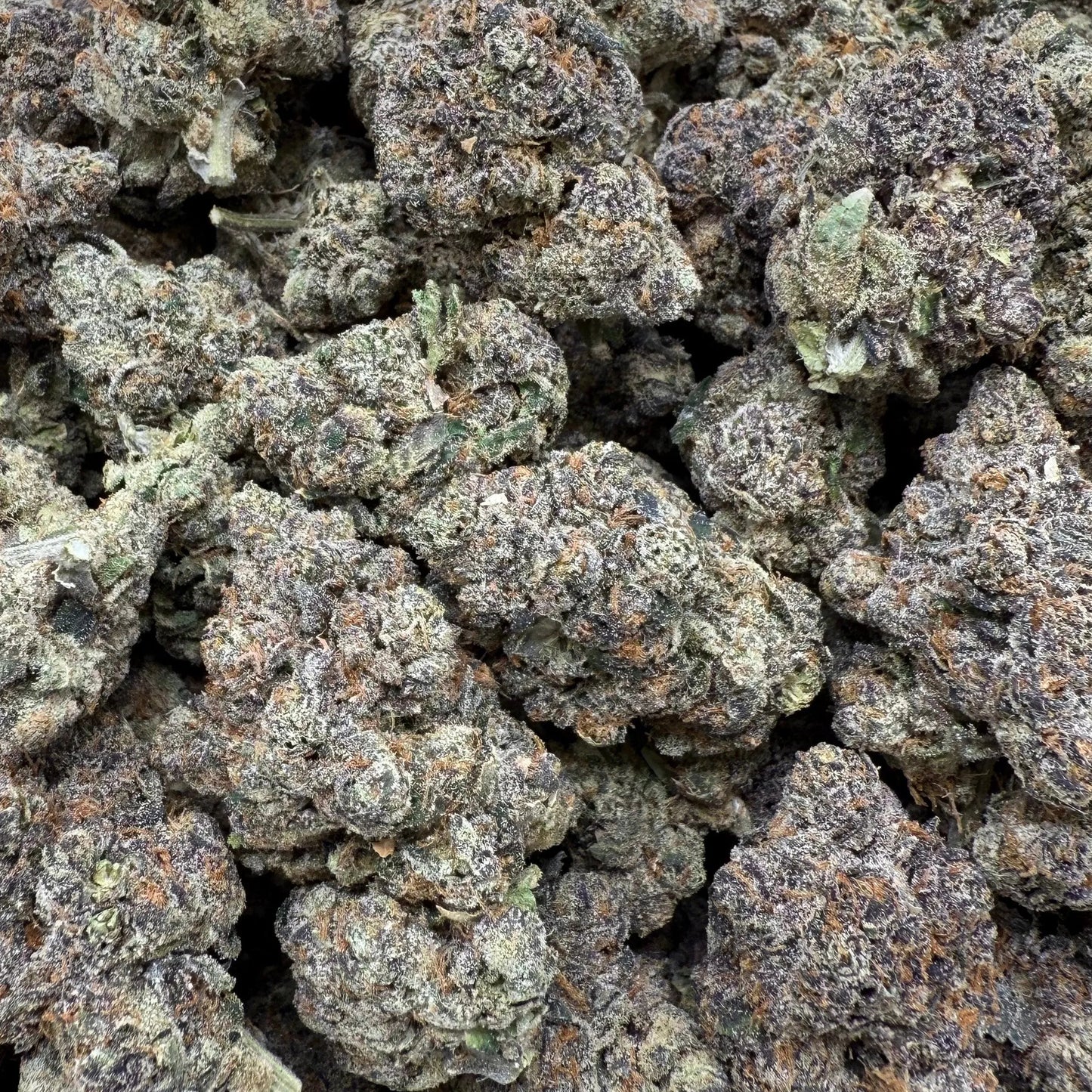 Close-up of a pile of cannabis buds on a gray surface