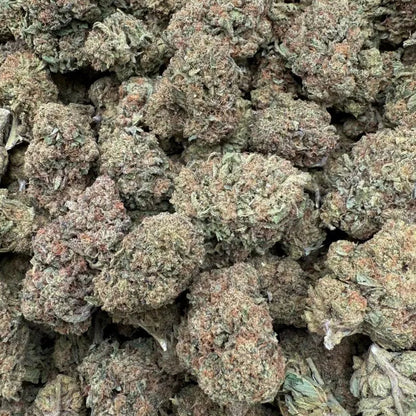 Close-up of a pile of dried cannabis buds on a white background