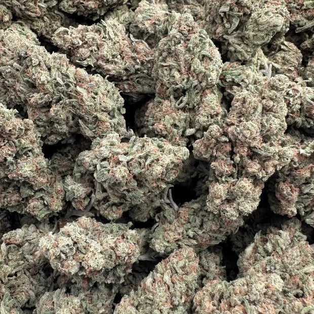 Close-up of a pile of cannabis buds on a white background