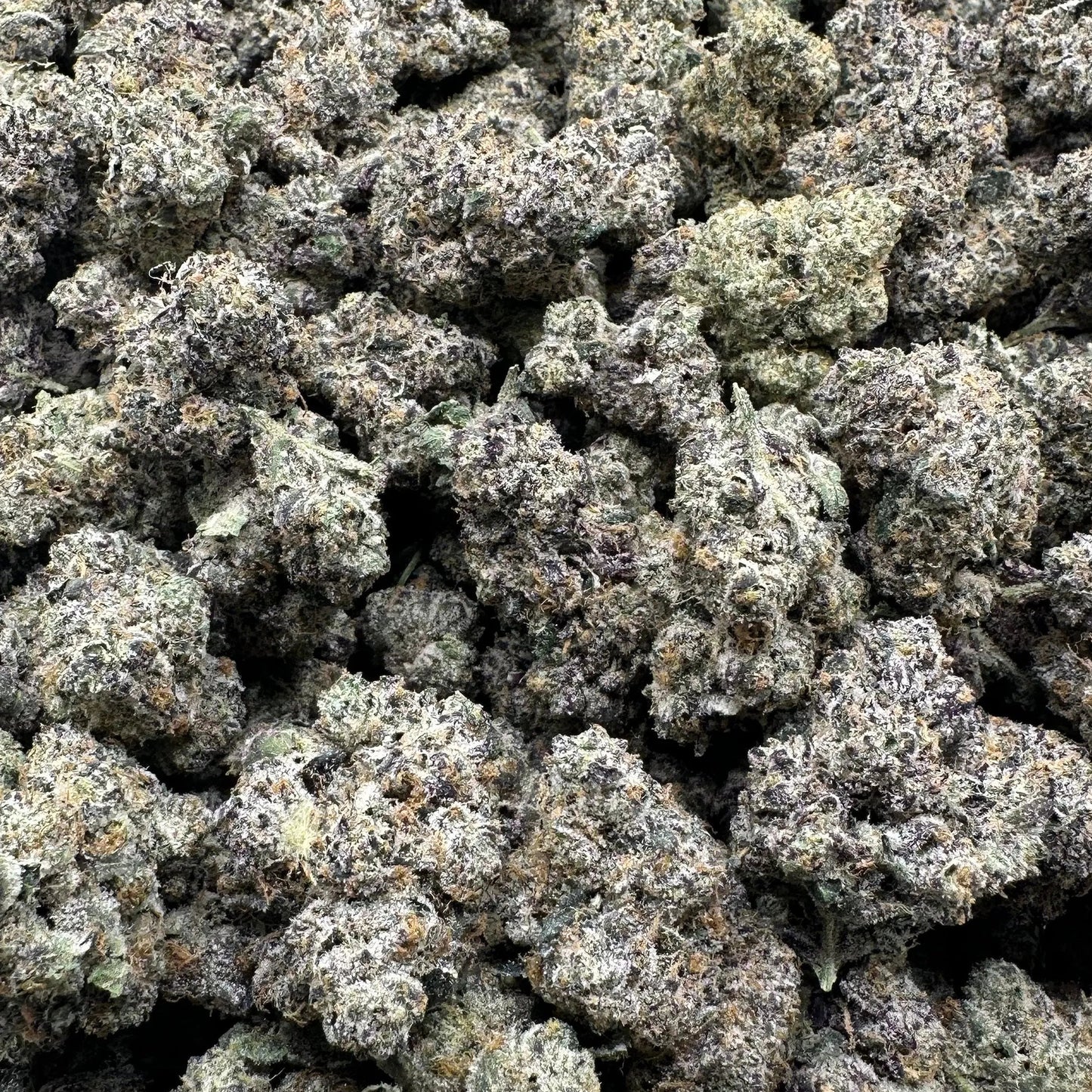 Close-up of dried cannabis buds on a clear plastic bag against a black background