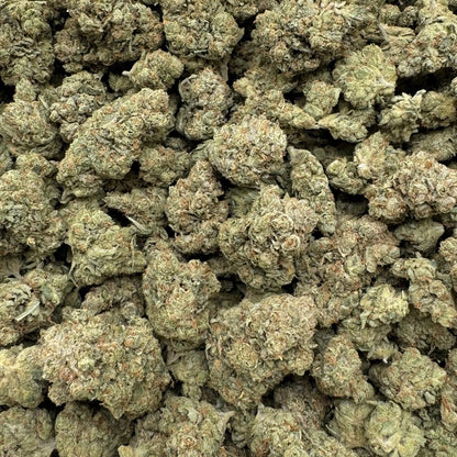 Close-up of dried cannabis buds on a white background