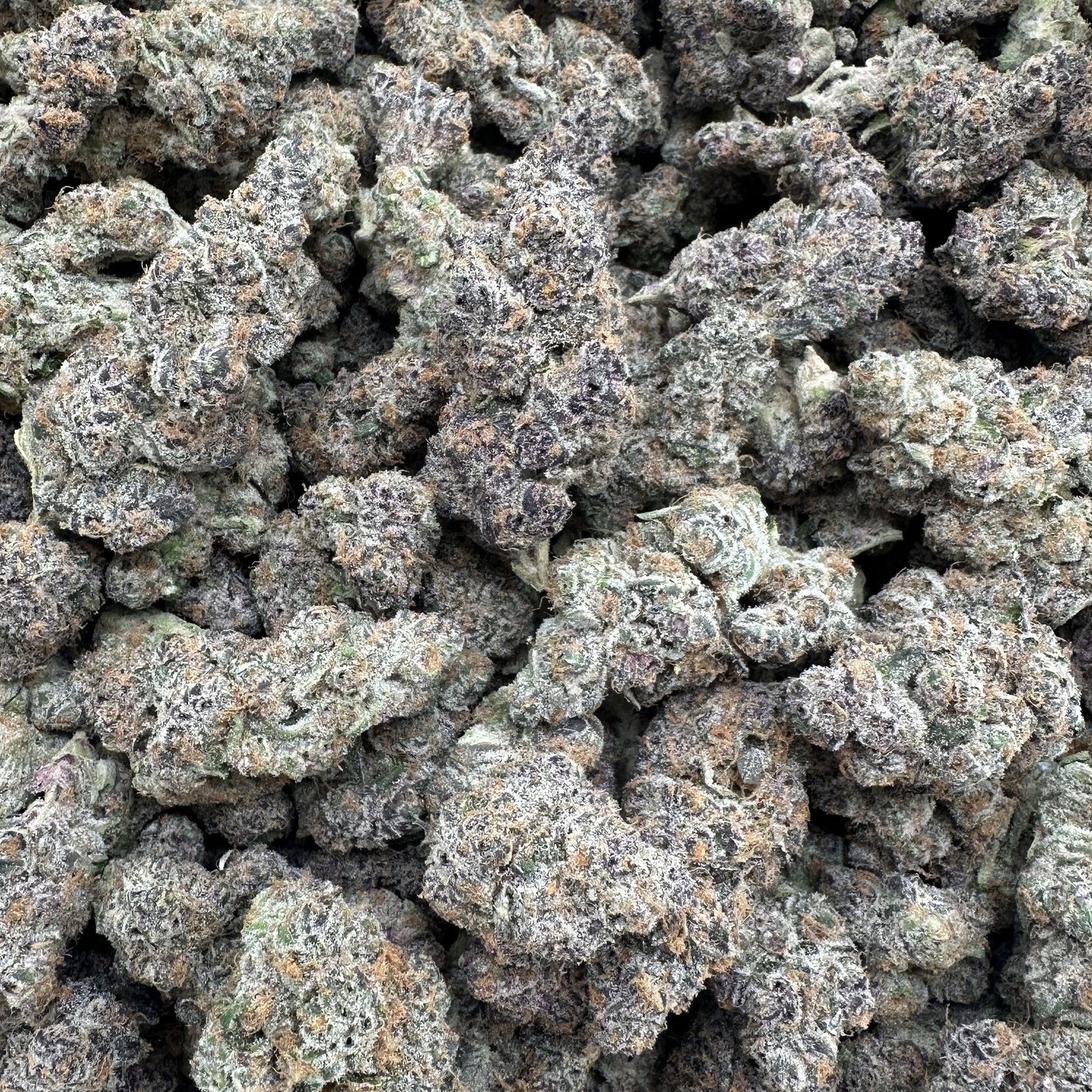 Close-up of a pile of dried cannabis buds on a white background