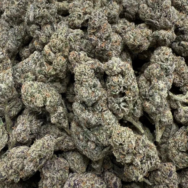 Close-up of dried cannabis buds on a white background