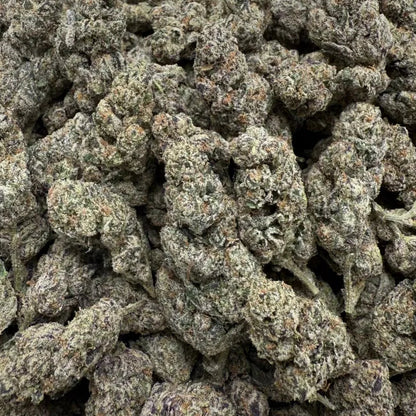 Close-up of dried cannabis buds on a white background