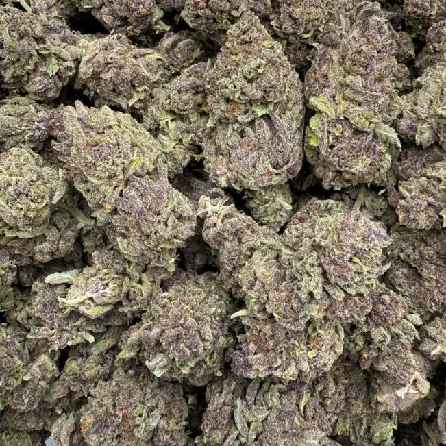 Close-up of dried cannabis buds on a white background