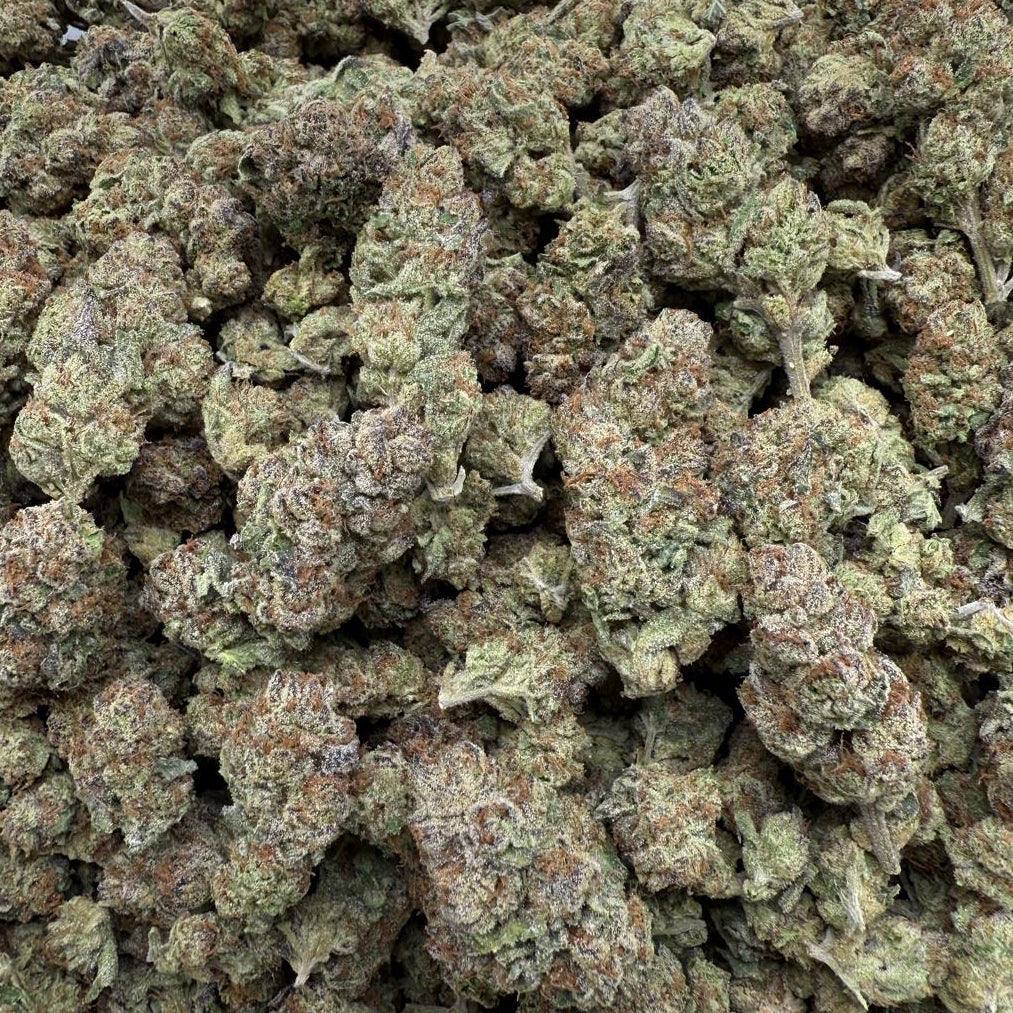 Close-up of dried cannabis buds on a gray surface