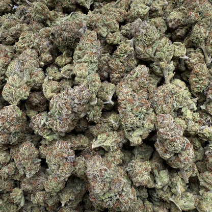Close-up of dried cannabis buds on a gray surface