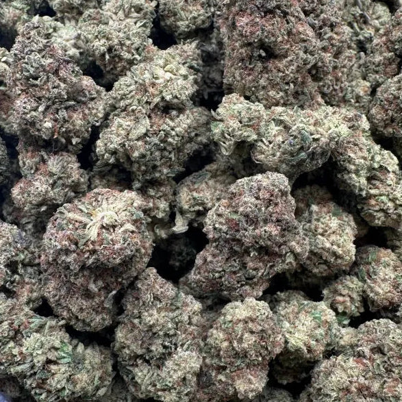 Close-up of cannabis buds in a clear container