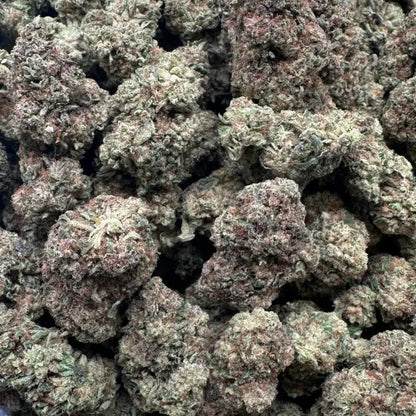 Close-up of cannabis buds in a clear container