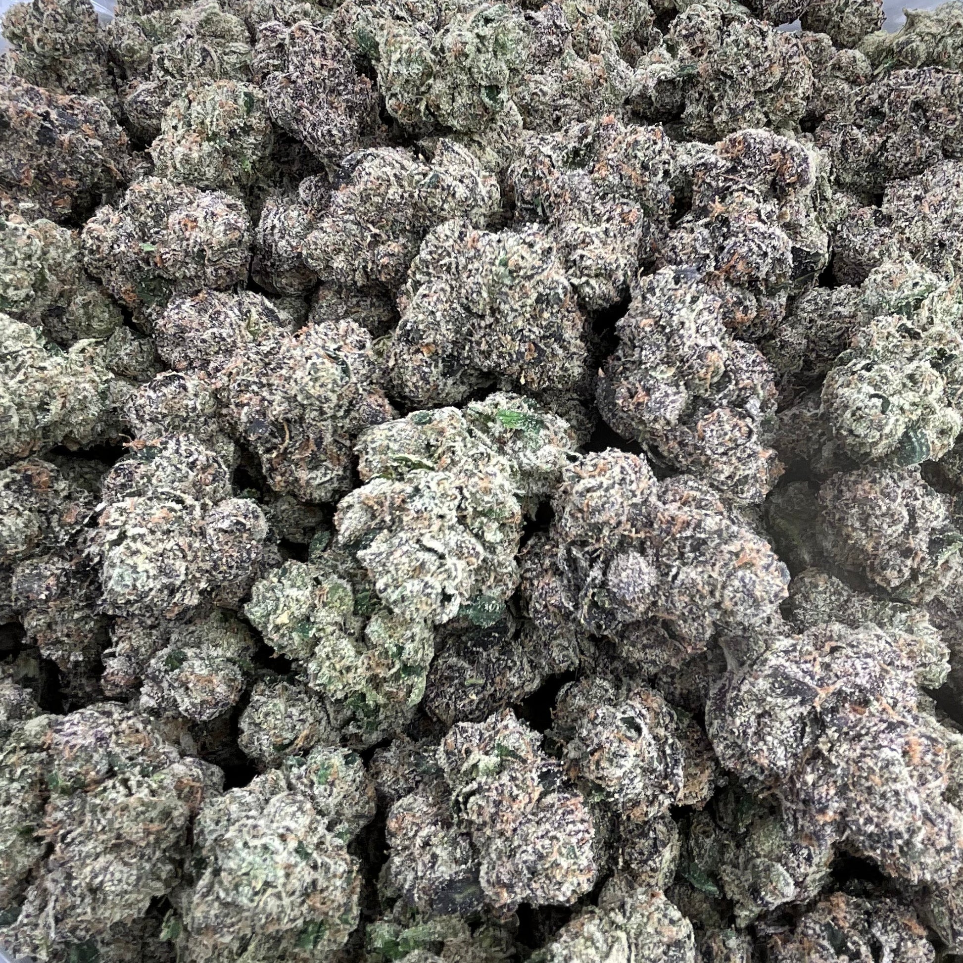 Close-up of cannabis buds on a clear plastic bag against a gray background