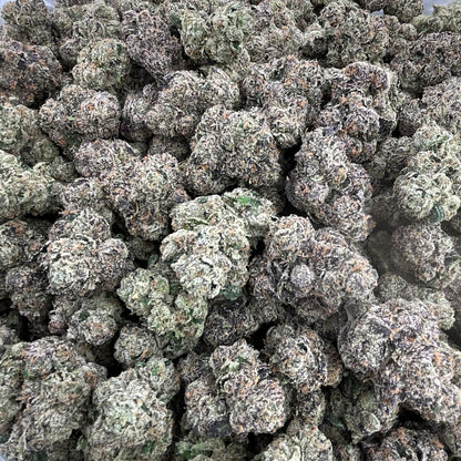 Close-up of cannabis buds on a clear plastic bag against a gray background